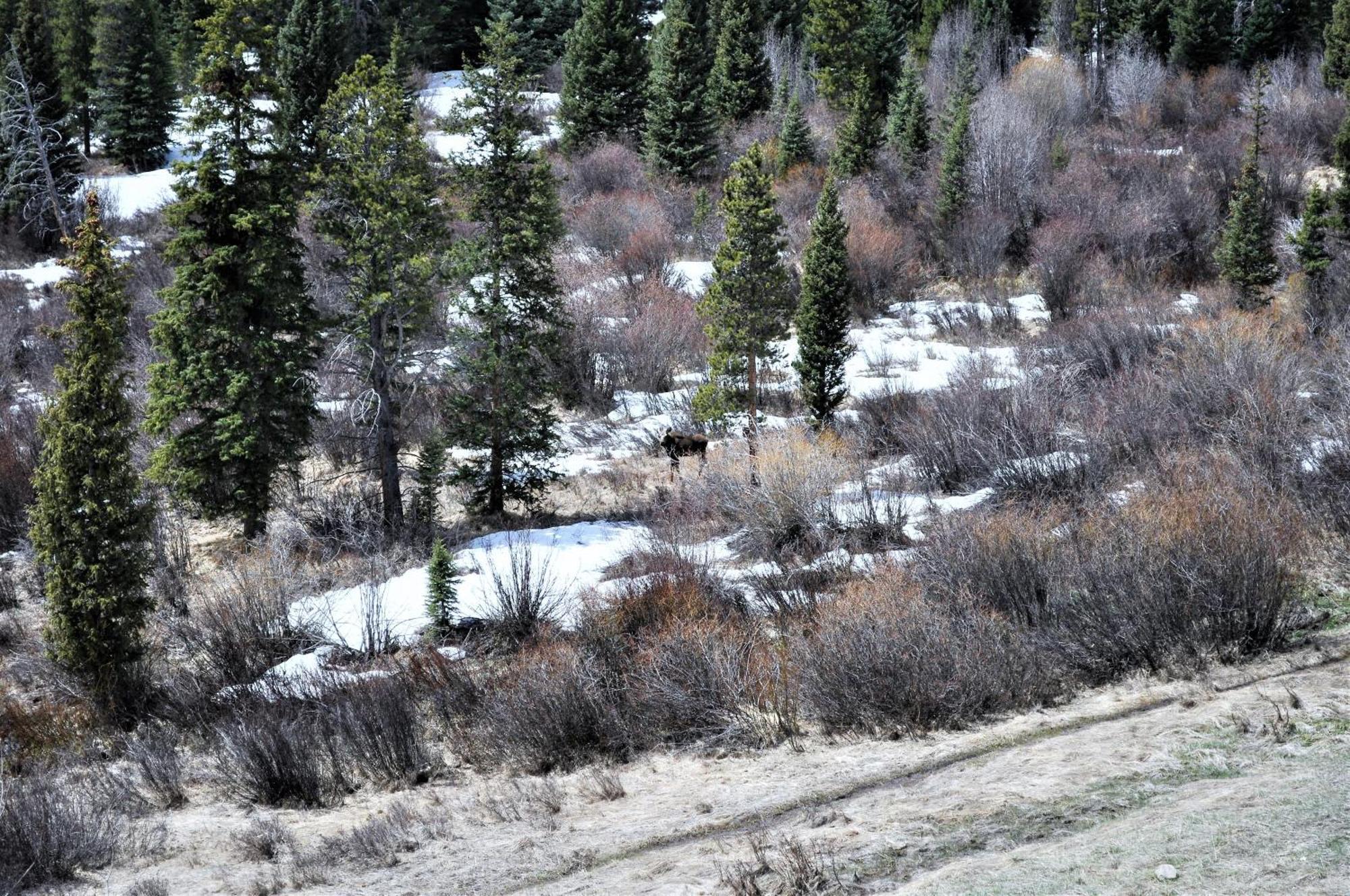 Forest Park 3 Bed 4 Bath Twnhm Htjm Silverthorne Luaran gambar